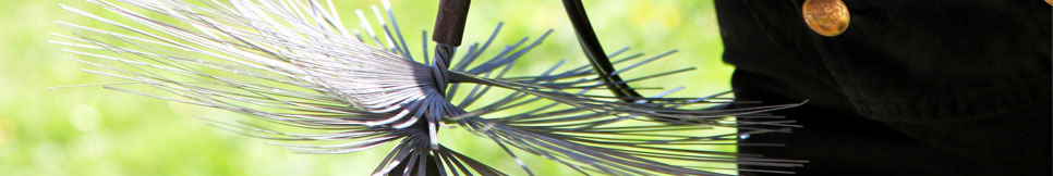 Banner - Roland Schubert